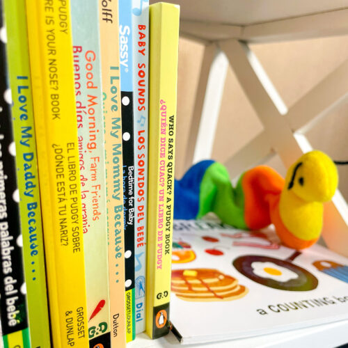 A stack of children’s books on a bookshelf. A colourful stuffed caterpillar sits beside the books.